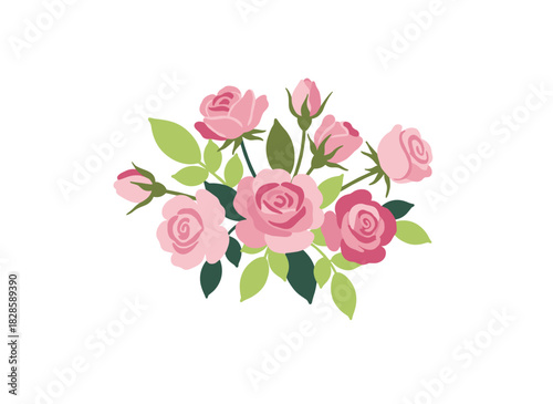 A vector illustration in vintage style depicting a bunch of pink cabbage or Austin rose flowers set against a white background, rendered as a botanical drawing of a cultivated garden flowering plant