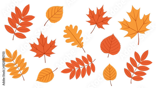 Illustration of various autumn leaves in shades of orange and yellow on a white background.