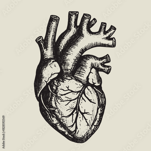 hand finger design hand drawn heart