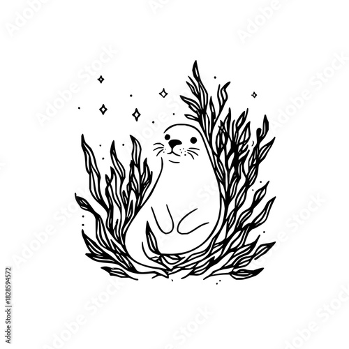 Cute seal ocean sea animal wildlife marine mammal seaweed kelp stars adorable nature illustration drawing art