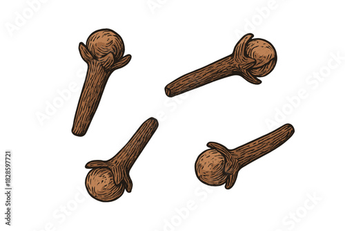 Detailed vintage style depiction of four dried clove spice buds scattered on a white surface