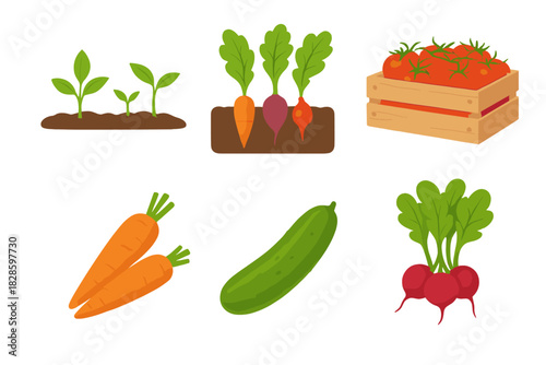 Fresh garden vegetables and growing plants: carrots, radishes, tomatoes, and cucumber