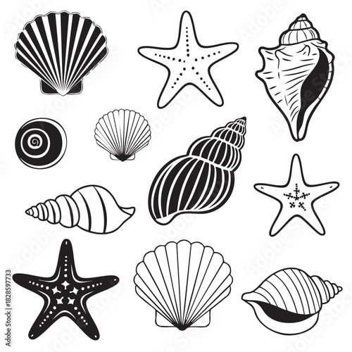 Black and White Seashell and Starfish Seamless Pattern Ocean Theme Illustration