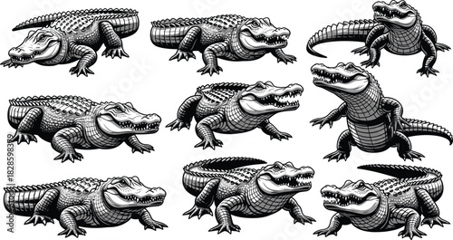 Collection of black and white alligator illustrations in various poses crocodile