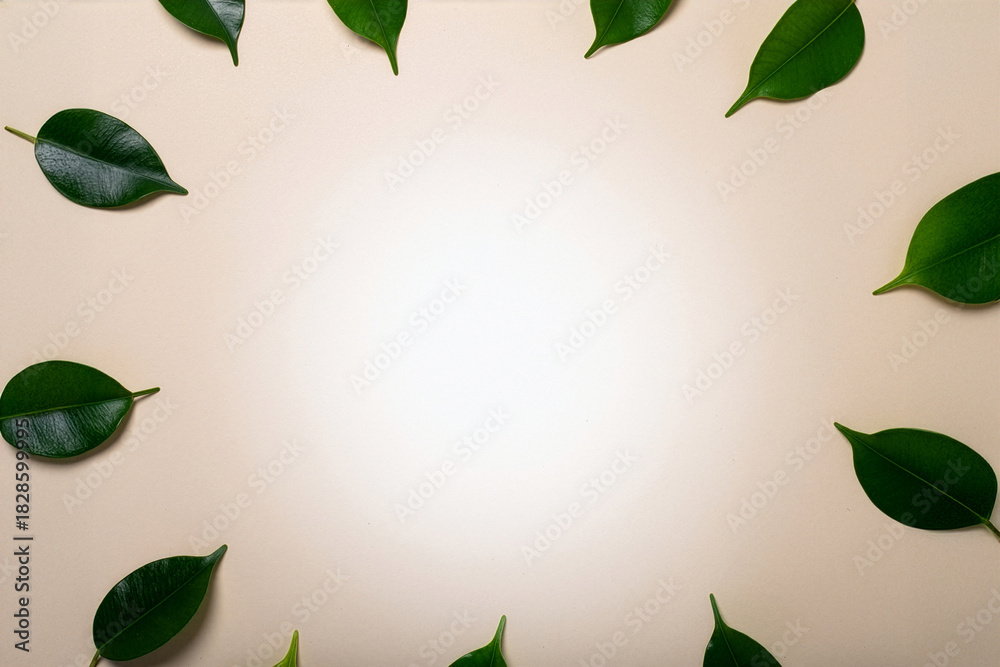 Fototapeta premium Fresh green leaf frame on a cream background