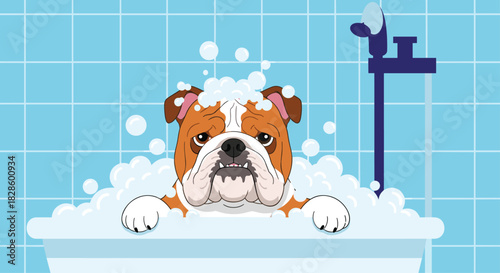 A bulldog getting a bath in a tub, covered in suds, with a shower head above.