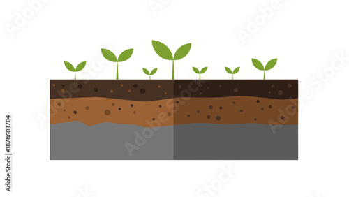 Illustration of seedlings growing in soil layers vector design