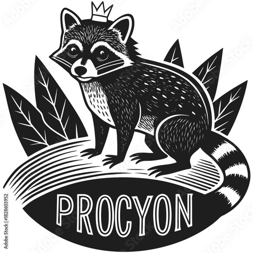 Stylized king raccoon wearing a crown sits on a branch with leaves and the word procyon below
