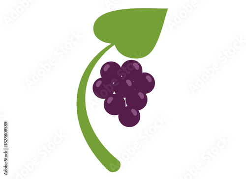Dark currant berries sprouting on a branch, fresh ripe fruit on a twig with leaves, a garden cassis plant, depicted as a colored flat vector illustration of natural summer food set against a white