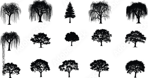 Collection of fifteen detailed black tree silhouettes, including weeping willow, oak, and pine, isolated on white background for nature, landscape, garden, and forest design