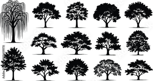 Collection of various black tree silhouettes including weeping willow and oak plants isolated on white background for nature landscape environment design and forestry ecology