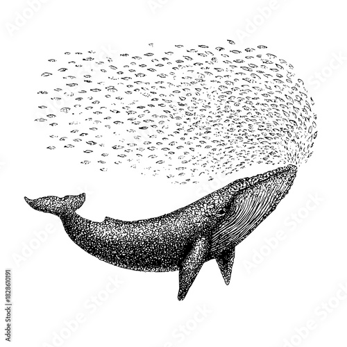 Illustration of a whale swimming with a school of fish in black and white detailed stippling style art