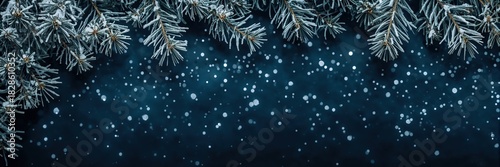 Snowy pine branches with frost and falling snowflakes on a dark blue winter background for seasonal design