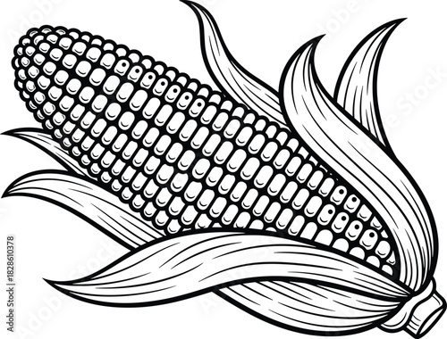 Corn cob vector illustration line art sketch, black and white maize vegetable for farm agriculture logo, organic harvest food design symbol isolated on white background