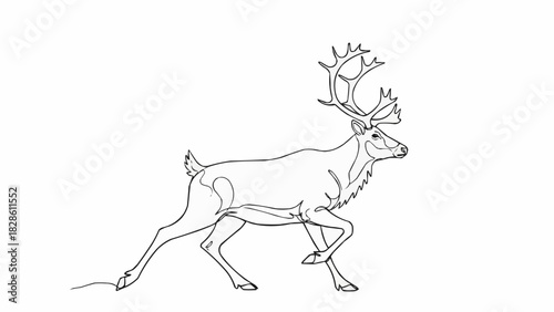 Illustration of a reindeer in motion with large antlers on a white background in black and white style