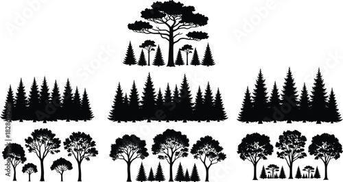 Forest silhouette set, black tree vector collection, pine wood nature illustration, isolated landscape elements, coniferous and deciduous grove graphics, design bundle on white background