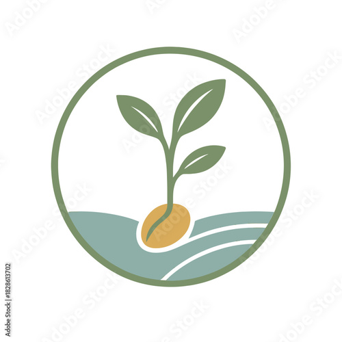 Seedling sprouting in water, growth and new life concept