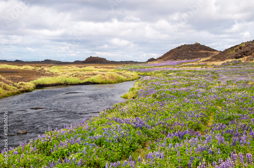 South Iceland, view across stream and meadow to mountains on an overcast day