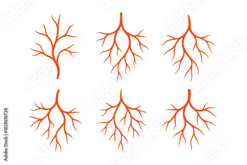 Six stylized branching patterns resembling circulatory system vessels or plant root structures