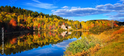 Autumnal colors in the forest on Chemin de Port aux Quilles, Saint Siméon, Canada, Quebec
