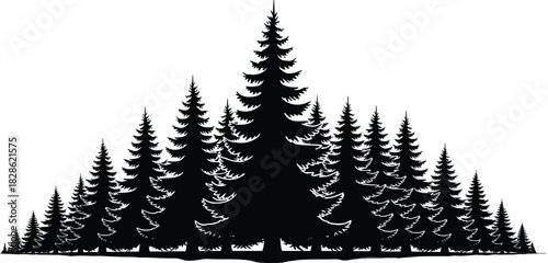 Black pine tree forest silhouette panorama, coniferous woodland landscape background, isolated nature scene, cad drawing flat vector illustration
