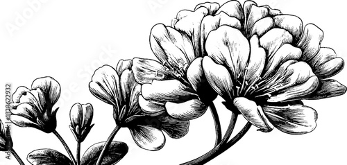 Decorative engraving of bioluminescent-inspired floral design for artistic projects