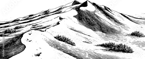 Decorative engraved illustration of flowing dune crest and wave for design projects