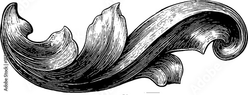 Intricate decorative filigree micro loop engraving illustration for design