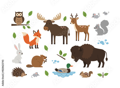 A collection of forest animals featuring wild woodland mammals such as fox, wolf, bison, elk, and deer, along with birds, beasts, owl, hedgehog, and roe, presented as flat vector illustrations on a