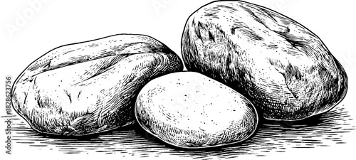 Decorative engraving of polished river pebble stones for artistic design and nature inspiration