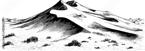 Engraved decorative illustration of rippled sand dune crest for desert-themed design