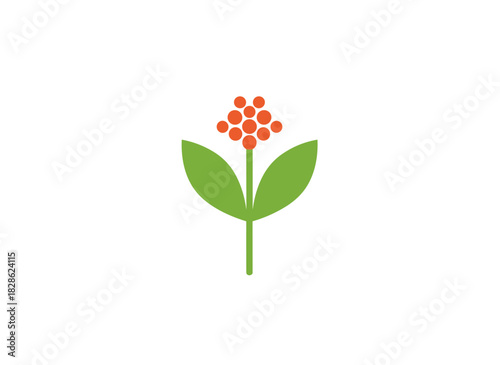 A blooming flower with a slender stem and leaves, a graceful field plant, and a wildflower, depicted as a flat botanical vector illustration on a white background