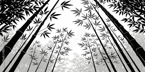 A monochrome view looking up through a dense bamboo forest with a bright white sky above