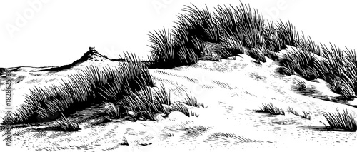 Coastal dune grass mounds in engraved decorative style for beach-themed designs