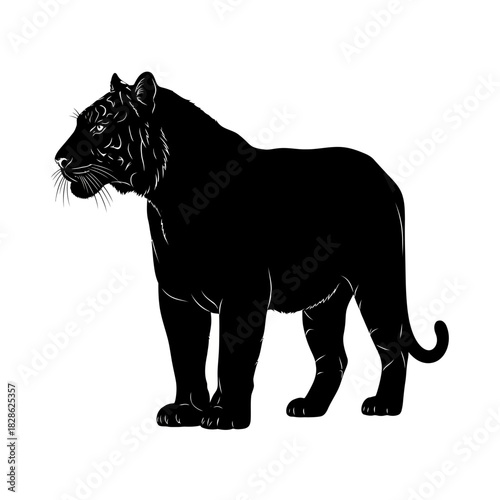 Black tiger silhouette standing profile isolated on white background
