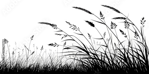 Silhouette of tall grass and weeds blowing in the wind against a white background