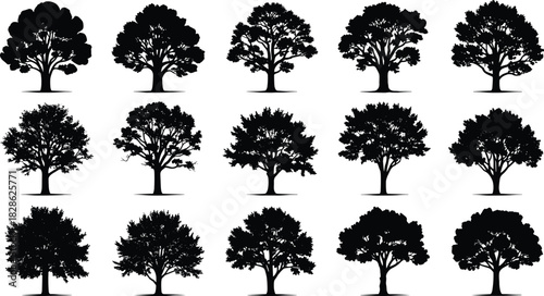 Detailed deciduous tree silhouette vector set, black broadleaf oak and maple collection for landscape design and architectural projects.