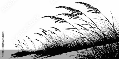 Silhouette of tall grass blowing in the wind against a white background in monochrome
