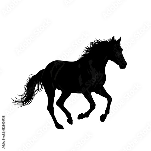 Black horse running silhouette isolated on white background