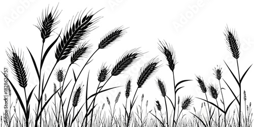 A monochrome silhouette of wheat stalks swaying gently in a field against white backdrop