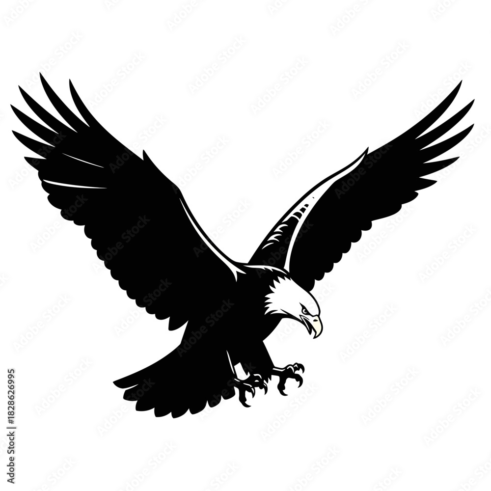 Obraz premium Bald eagle in flight silhouette isolated on white background