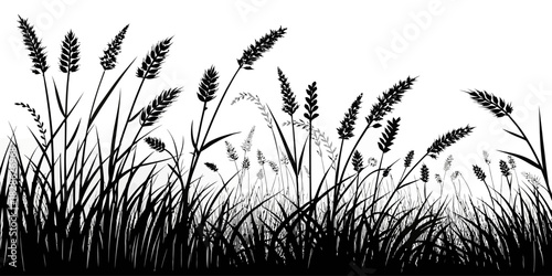 Silhouette of wheat and grass field against a white background in monochrome style