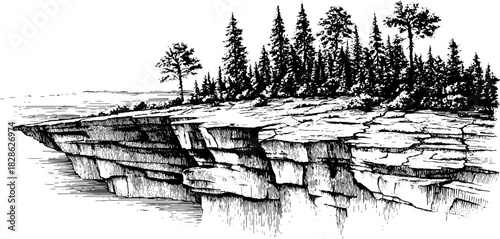Engraved illustration of stratified shale outcrop with pine trees in vintage artistic style