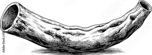 Decorative engraving of weathered mangrove branch for nature-inspired design projects