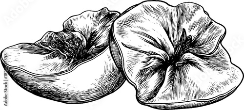 Engraved decorative illustration of wrinkled dried apricot for label design