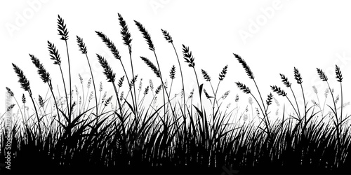 A silhouette of a field of tall grass and wheat against a stark white background view