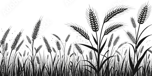 Illustration of a field of wheat with tall stalks and grains in black and white style