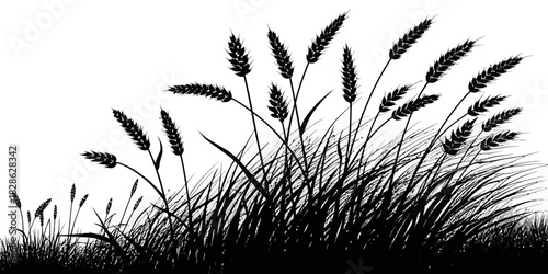Silhouette illustration of wheat stalks and grass in a field against white background