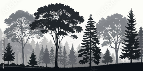 Silhouette of a dense forest with various trees and a misty background landscape view