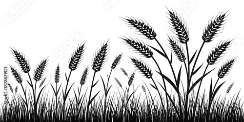 Silhouette illustration of wheat field with detailed stalks and grain heads design